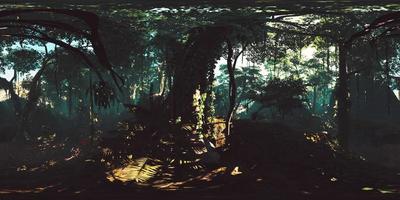 vr360 jungles tropicales profondes d'asie video