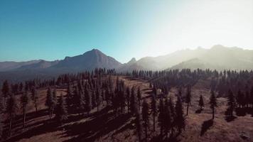 Landscape view of the mountain range with trees in the fall video