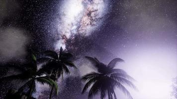 Vintergatan galaxen över tropisk regnskog. video
