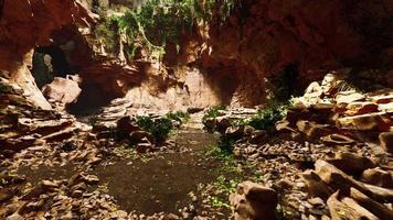 la lumière du soleil pénètre et illumine la sortie de la grotte video