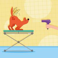 dog pet with hair dryer vector