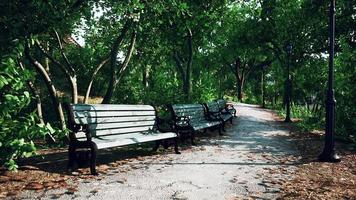 Empty benches in the park during the quarantine due to the pandemic COVID-19 video