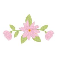 pink flowers with leaves vector design