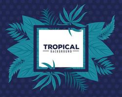 tropical background, square frame with branches and tropical leaves vector