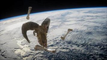 baggars skalle med ben i jordens omloppsbana video
