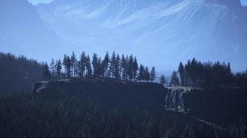 mistig bergboslandschap in de ochtend video