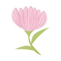 pink flower with leaves vector design