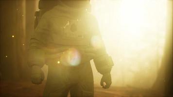 astronauta solitário na floresta escura video