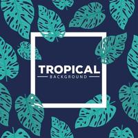 fondo tropical, con plantas de marco y hojas vector