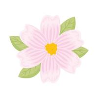 white and pink flower with leaves vector design