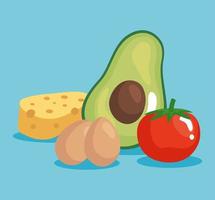 avocado cheese eggs and tomato vector design