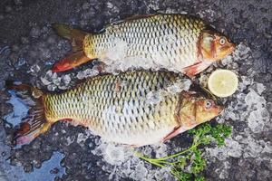 Fresh raw fish on ice for cooked food with lemon on dark background, Common carp freshwater fish market, Carp fish photo