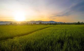 Beautiful morning time in rural farm with bright sunrise photo