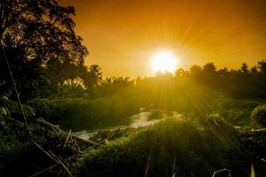 Forest sunrise landscape with river photo