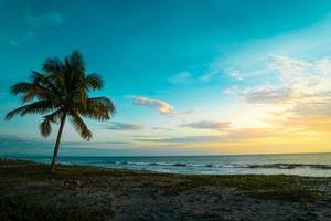 Tropical sundown landscape with palm tree and beach photo