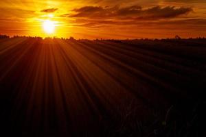 Golden sunset sky horizon landscape photo