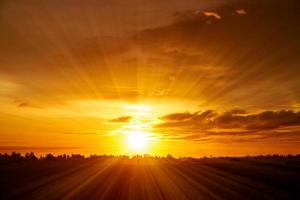 paisaje dorado del horizonte del cielo del atardecer foto