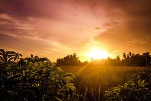 hermosa puesta de sol de cielo rojo en las tierras de cultivo foto