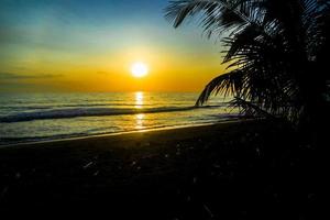 Tropical beach sunset with palm tree and colorful sky photo