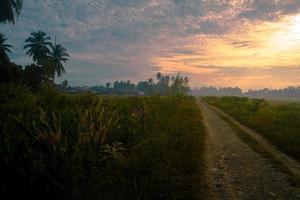 Rural sunset landscape with road photo