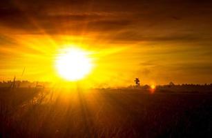 Golden sunset sky with sunrays photo