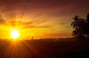 Golden sunset sky with sunrays photo