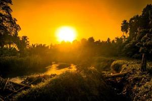 puesta de sol dorada sobre el bosque y el río foto