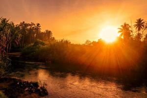 river and forest at golden hour photo