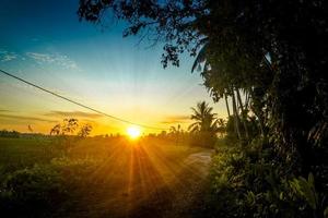 puesta de sol rural en indonesia con árboles, camino y luz solar foto