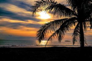 paisaje marino tropical con silueta de cocoteros foto