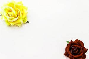 yellow rose button for your designs beautiful photo