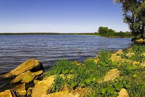 beautiful landscape with river near the forest photo