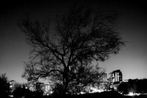 paisaje urbano en blanco y negro con un árbol por la noche. foto