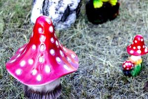 hermoso gran hongo artificial amanita en el jardín foto