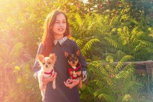 Teenage girl with black and white chihuahua dogs outdoors. Schoolgirl girl and pet dog. photo