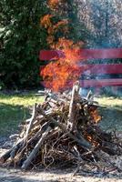 Photo of firewood burning in the daylight.