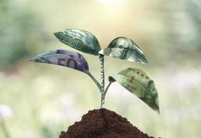 financial growth concept photo