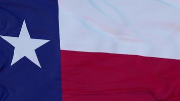 Flag of Texas state, region of the United States, waving at wind. 3d rendering