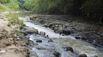 Stones and river in the forest photo