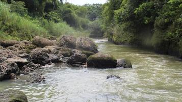 Stones and river in the forest photo