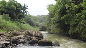 Stones and river in the forest photo