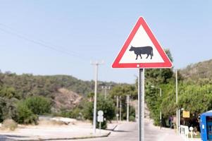 camino de la señal de tráfico foto