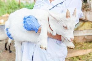 Young veterinarian woman with stethoscope holding and examining goat kid on ranch background. Young goatling with vet hands for check up in natural eco farm. Animal care and ecological farming concept photo