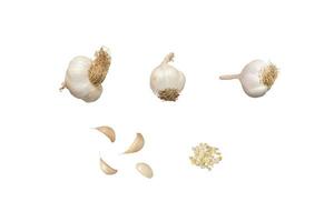 Garlic isolated whole and in pieces photo