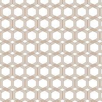 Hexagonal Geometric Pattern vector