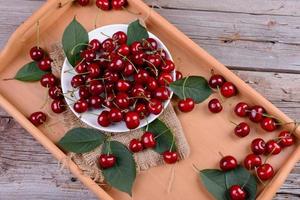 Close up of pile of ripe cherries with stalks and leaves