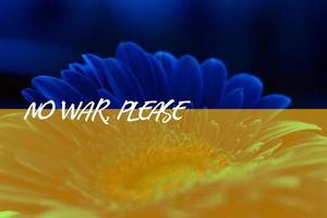 No War, Please,  Russia vs Ukraine stop war, Russia and Ukraine fighting