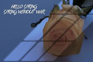 Hello Spring, no war, sprign without war,  Russia vs Ukraine stop war, Russia and Ukraine fighting photo