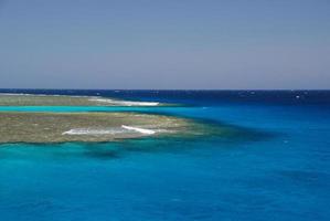 huge reef with colorful corals in the sea photo