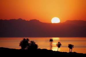 amanecer en egipto con palmeras foto